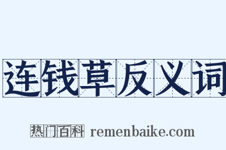 连钱草反义词是什么意思的图片